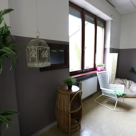 Panda Hostel-2